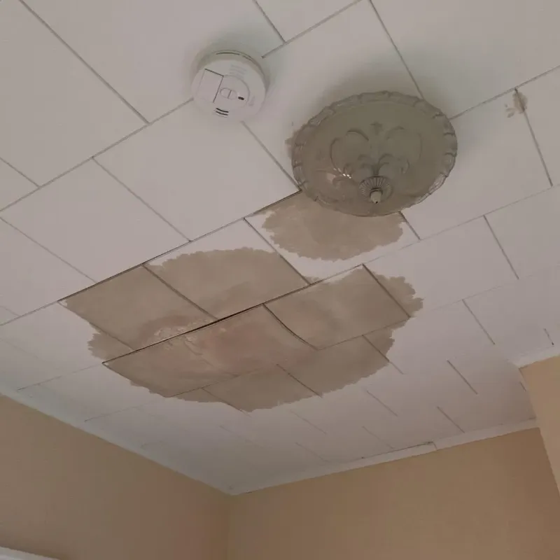 Ceiling Water Damage Repair in Runnels County, TX